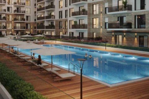 Duplex de 2 dormitorios en Town Square, UAE No. 163796 6
