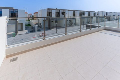 Villa de 4 dormitorios en District 11, UAE No. 163794 9