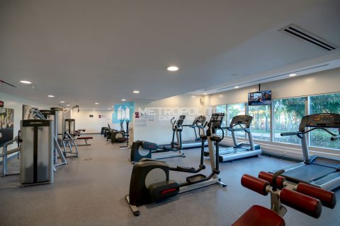 2 bedrooms Apartment in Al Reem Island, UAE No. 149782 21