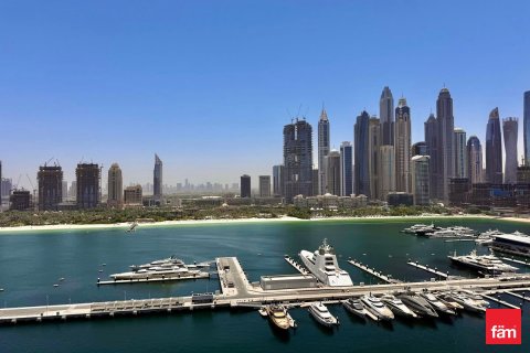 Appartement de 2 chambres à Dubai Harbour, UAE No. 163076 3