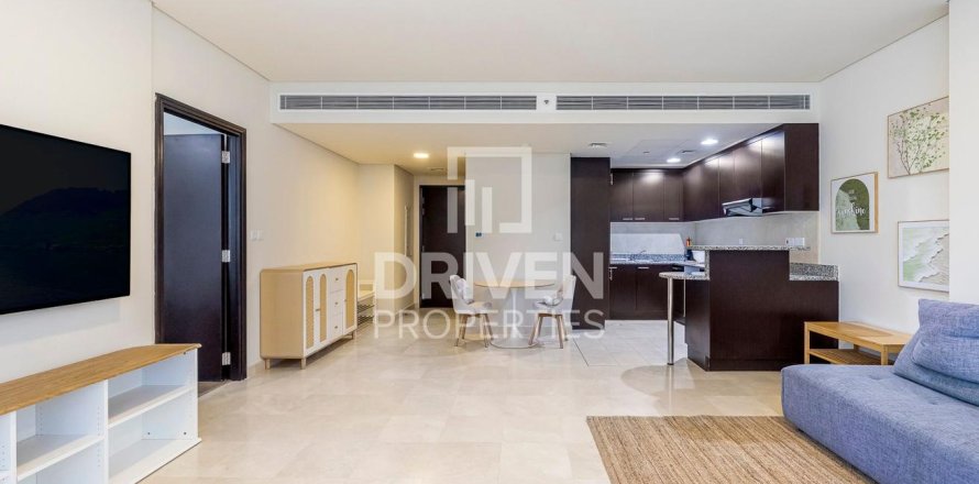 1 غرف نوم شقة في DIFC, الإمارات العربية المتحدة رقم 138972