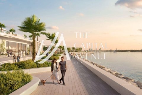 Квартира с 4 спальнями в Al Hudayriat Island, ОАЭ №136967 9