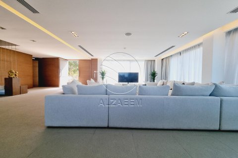 4 bedrooms Villa in Nurai Island, UAE No. 91025 16