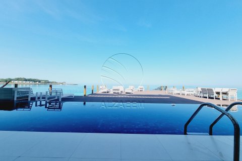 4 bedrooms Villa in Nurai Island, UAE No. 91025 2