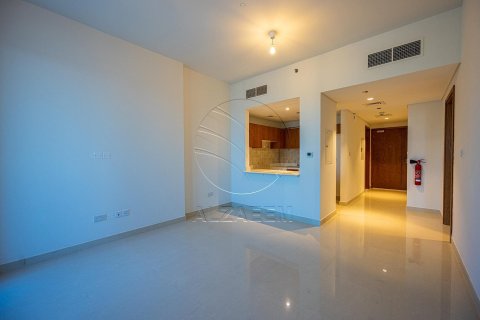 1 bedroom Apartment in Al Reem Island, UAE No. 91011 22