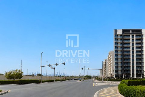 Land de 2250.02m² à Liwan, UAE No. 189803 8