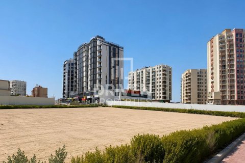 Land de 2250.02m² à Liwan, UAE No. 189803 4