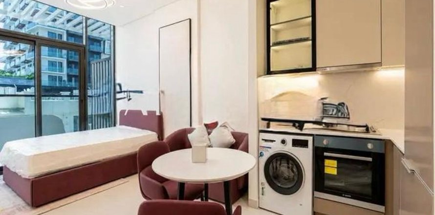 Studio Apartment in Dubai, UAE No. 169740