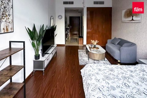 Studio Apartment in Dubai, UAE No. 169607