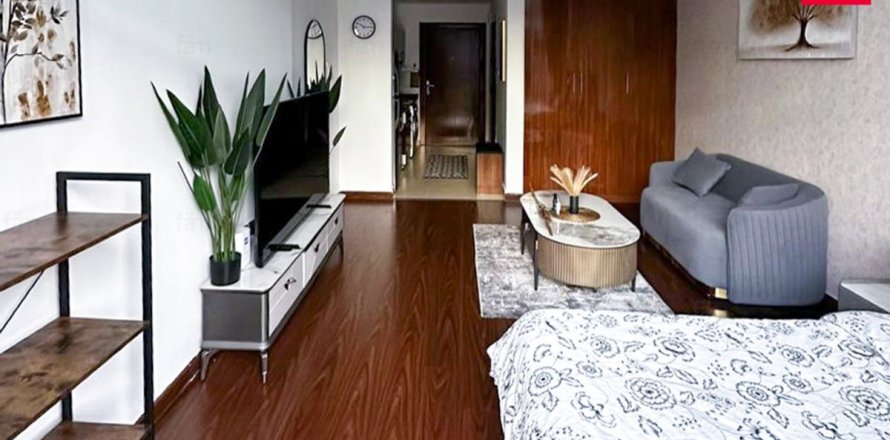 Studio Apartment in Dubai, UAE No. 169607