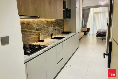 Studio Apartment in Dubai, UAE No. 169245