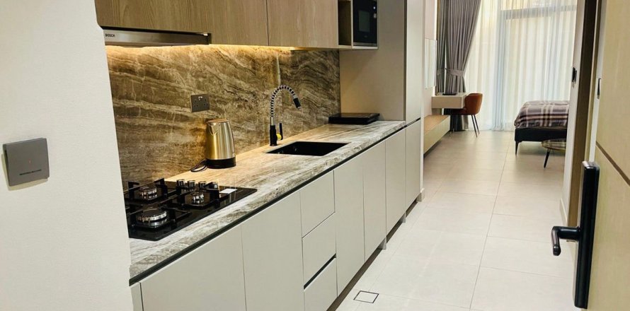 Studio Apartment in Dubai, UAE No. 169245