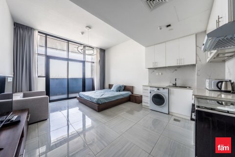 Studio Apartment in Dubai, UAE No. 173242