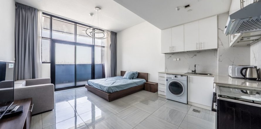 Studio Apartment in Dubai, UAE No. 173242