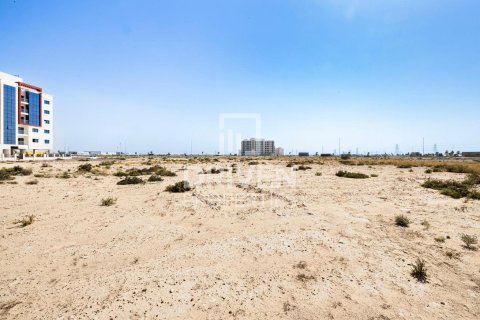 Land de 4188m² en Dubai, UAE No. 138758 5