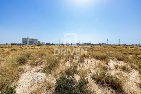 Land de 4188m² en Dubai, UAE No. 138758 6