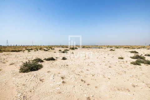 Land de 4188m² en Dubai, UAE No. 138758 11