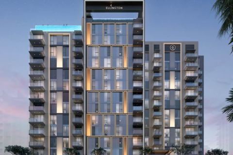 Studio Apartment in Dubai, UAE No. 171151