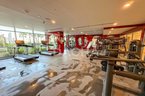 Appartement de 1 chambre à District 11, UAE No. 155577 4