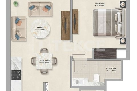 Appartement de 1 chambre  No. 117125 29