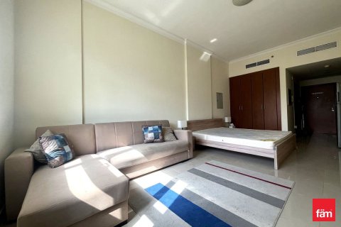 Studio Apartment in Dubai, UAE No. 169974