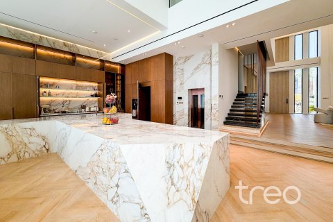 Villa de 7 chambres à Jumeirah Park, UAE No. 206163 13