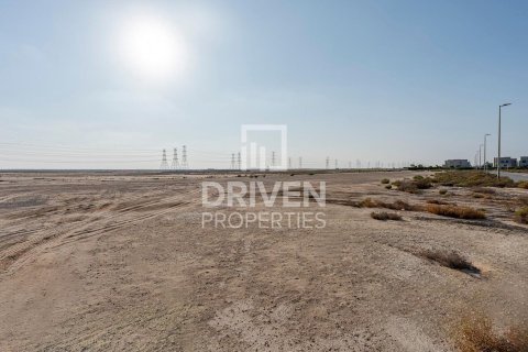 Land de 928.94m² en Jebel Ali, UAE No. 188422 9