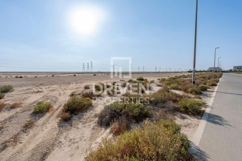 Land de 928.94m² en Jebel Ali, UAE No. 188422 5