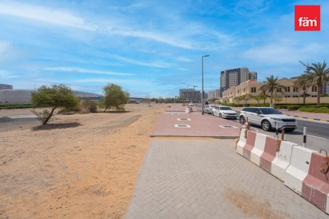 495.1مربع، قطعة أرض في Wadi Al Safa 2, الإمارات العربية المتحدة رقم 87549 4