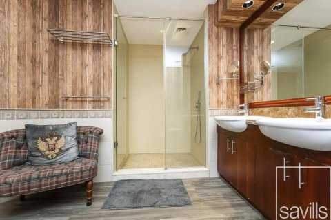 1 bedroom Apartment  No. 107971 11