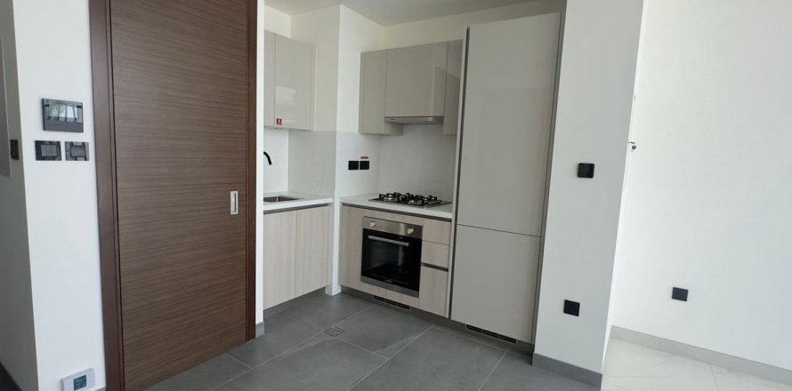 1 bedroom Apartment in Dubai, UAE No. 161733