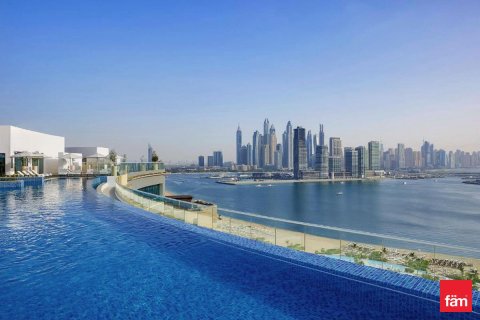 32.9m² Shop  No. 117884 2