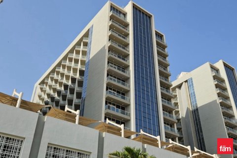 Studio Apartment in Dubai, UAE No. 170046