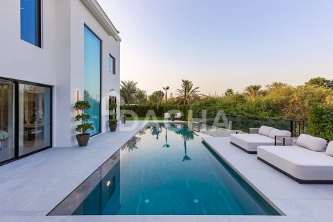 Вилла с 5 спальнями в Jumeirah Islands, ОАЭ №155779 3