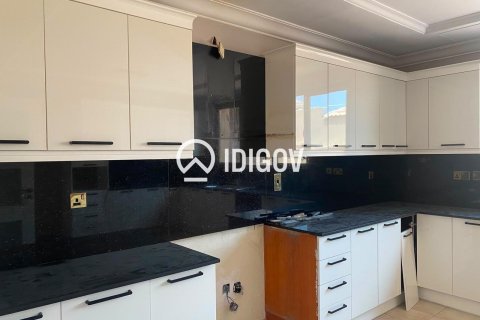 5 bedrooms Villa in Palm Jumeirah, UAE No. 184854 16