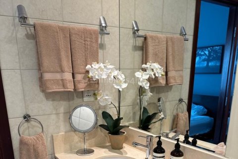 1 bedroom Apartment in Downtown Dubai (Downtown Burj Dubai), UAE No. 143093 21