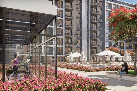 Appartement de 1 chambre à Town Square, UAE No. 170636 8