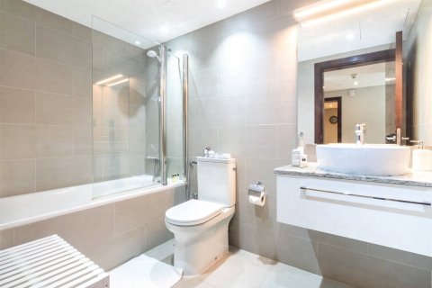 1 bedroom Apartment in Downtown Dubai (Downtown Burj Dubai), UAE No. 210420 9