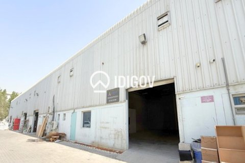 7804.6m² Warehouse in Dubai, UAE No. 184978 5