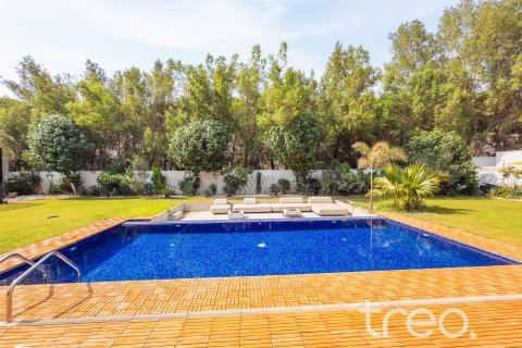 4 bedrooms Villa in Al Barari, UAE No. 183042 18