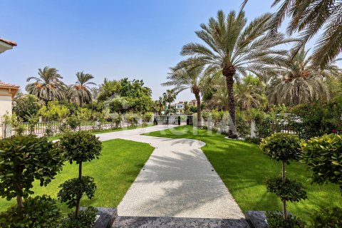 Вилла с 4 спальнями в Jumeirah Islands, ОАЭ №155355 27