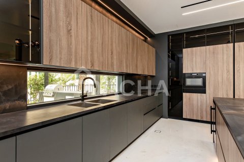 Вилла с 4 спальнями в Jumeirah Islands, ОАЭ №155355 24