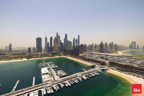 3 غرف نوم شقة في Dubai Harbour, الإمارات العربية المتحدة رقم 165224 26