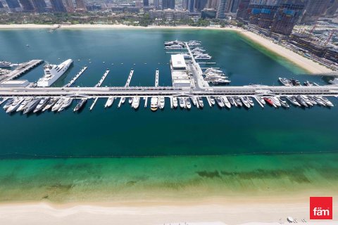 3 غرف نوم شقة في Dubai Harbour, الإمارات العربية المتحدة رقم 165224 22