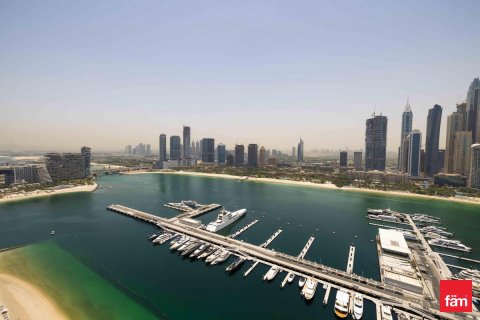 3 غرف نوم شقة في Dubai Harbour, الإمارات العربية المتحدة رقم 165224 24