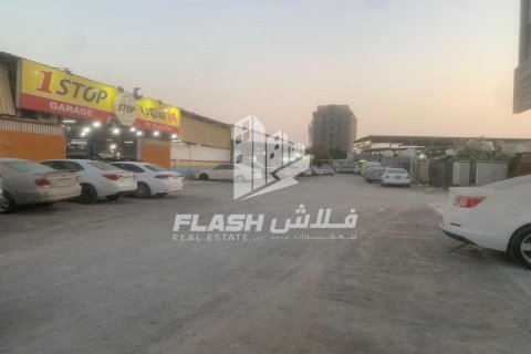 334مربع، قطعة أرض في النخيل, الإمارات العربية المتحدة رقم 172143 7