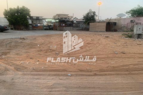 334مربع، قطعة أرض في النخيل, الإمارات العربية المتحدة رقم 172143 3