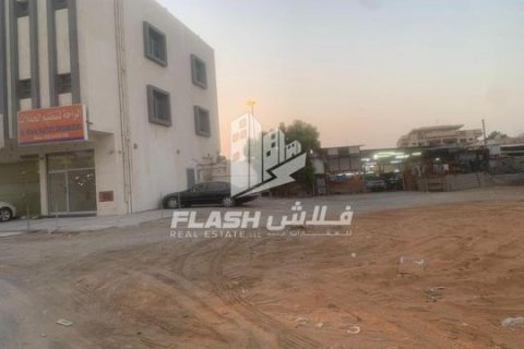 334مربع، قطعة أرض في النخيل, الإمارات العربية المتحدة رقم 172143