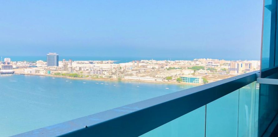 استوديو شقة في النخيل, الإمارات العربية المتحدة رقم 172144