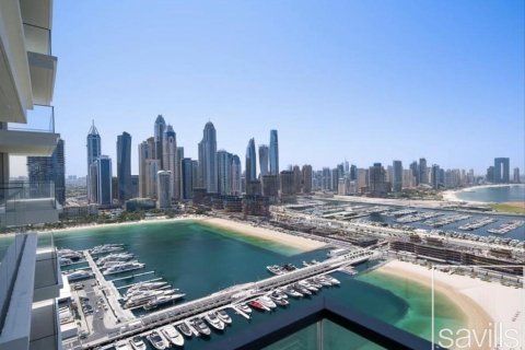 3 غرف نوم شقة في EMAAR Beachfront, الإمارات العربية المتحدة رقم 203795 17